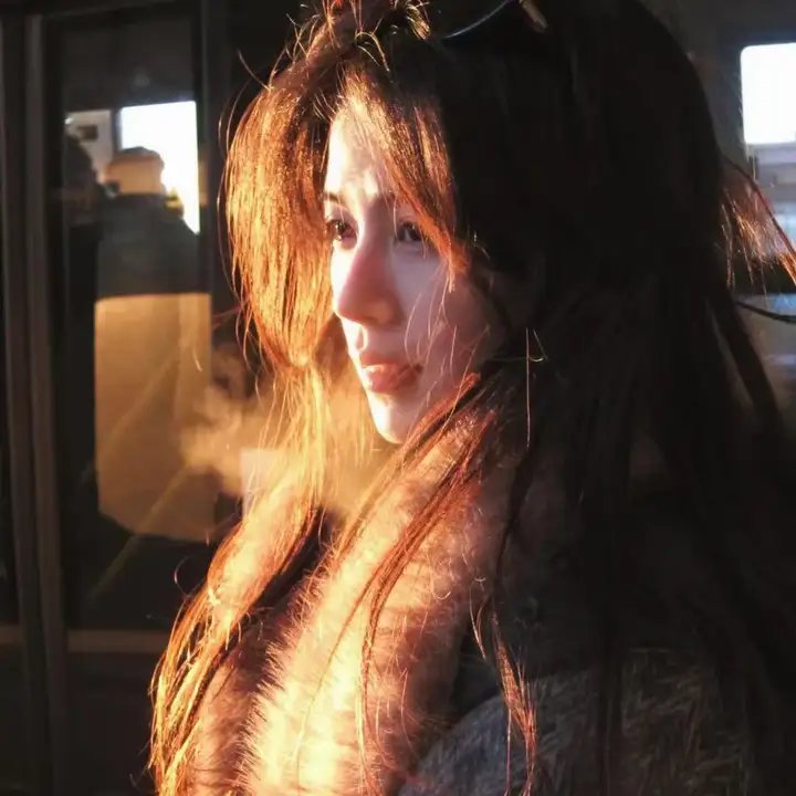 美国叛徒：轴心莎莉的审判